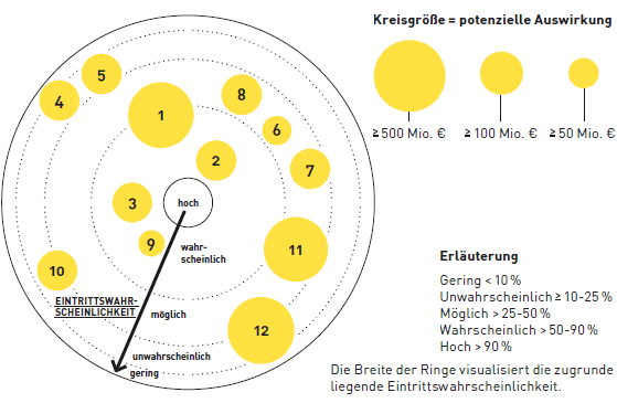 Zw&ouml;lf besonders relevante Risiken (Bruttorisiken) (Grafik)