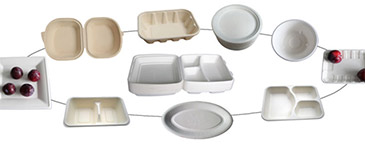 Einwegbeh&auml;lter und Take-Out-Boxen (Foto)