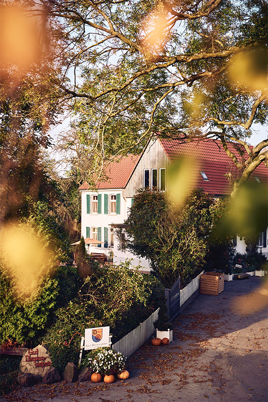 Haus im Gr&uuml;nen (Foto)