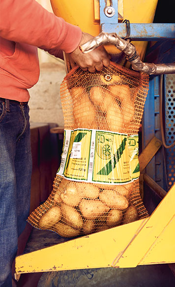 Kartoffelsack beim Bef&uuml;llen (Foto)