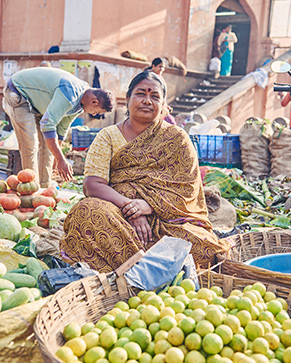 Indische Frau sitzend umringt von ihren Waren am Markt &ndash; frisches Obst und Gem&uuml;se (Foto)