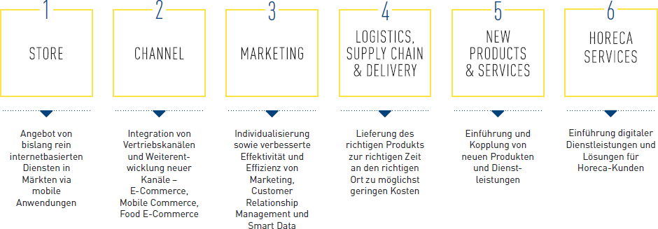 Die sechs Innovationsfelder der METRO GROUP (Grafik)