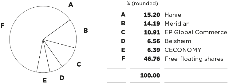 Shareholder structure (pie chart)