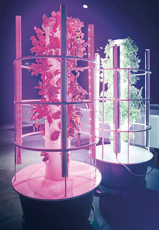 Creative light source (photo)