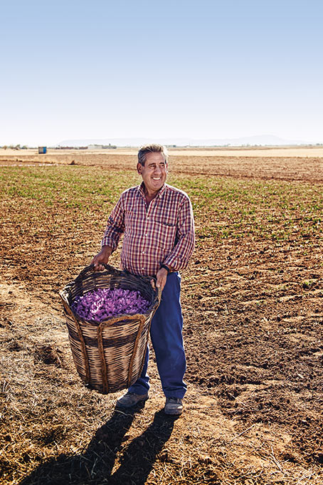 Man presents basket full of saffron (photo)