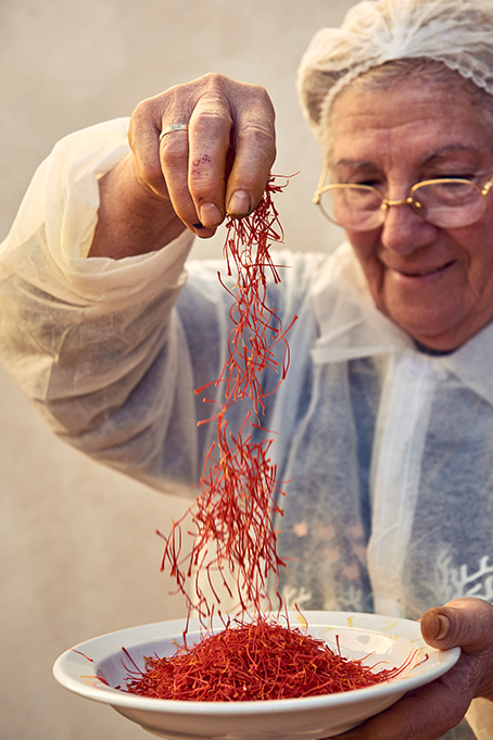Worker drops down the red stigmas into a plate (photo)