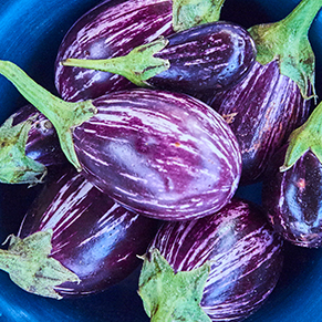 Food product &ndash; Eggplants (photo)