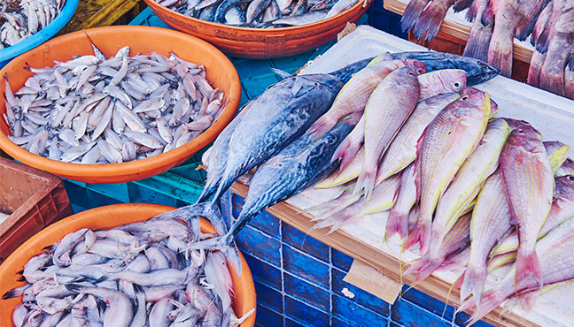Food product &ndash; Fish (photo)