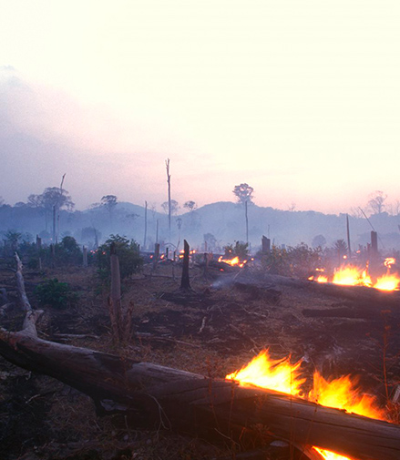 The planet is in crisis (Foto)