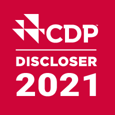 Teaser CDP (graphic)