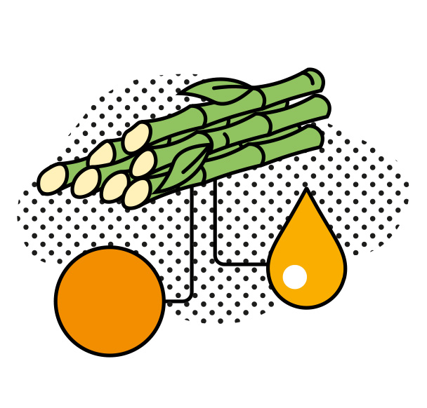 How to secure the protein needs of future generations (Foto)