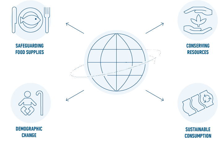 Our scope of action (graphic)