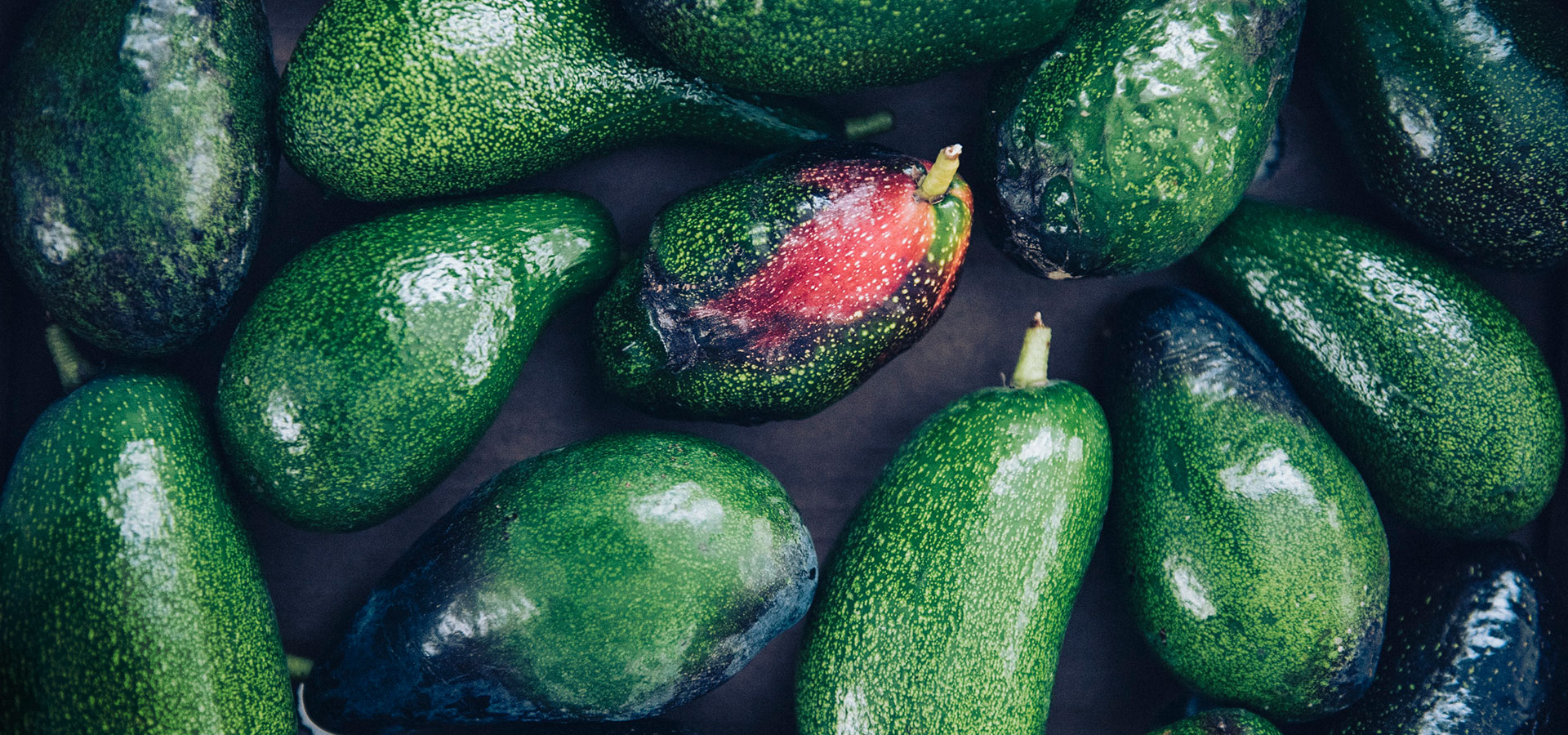 Avocados (Foto)