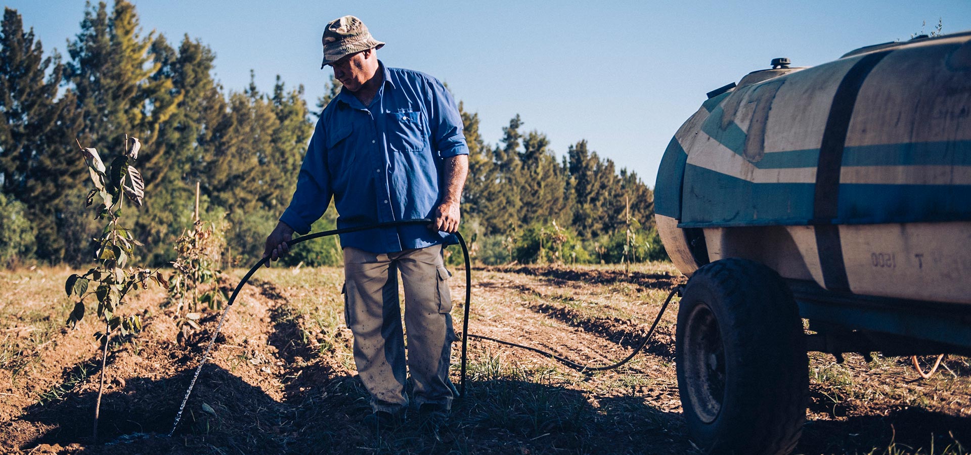 Farmer watering (Foto)